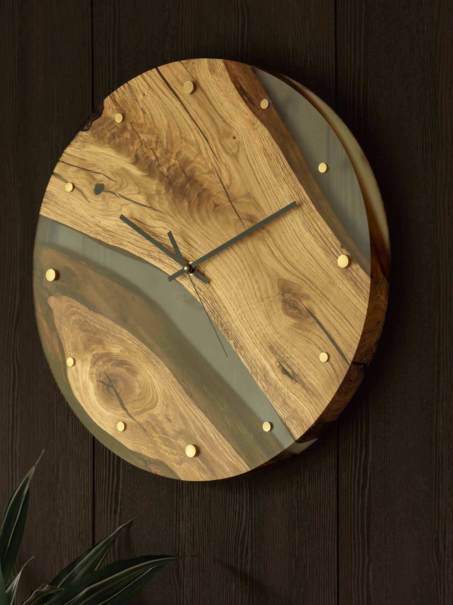 Seinakell "Oak"